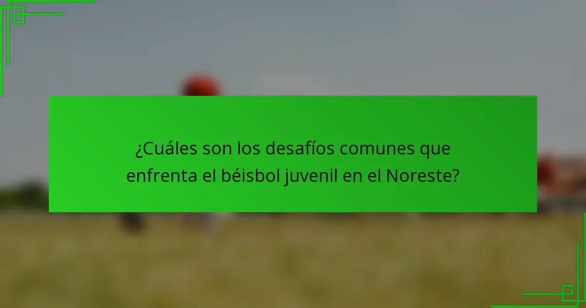 ¿Cuáles son los desafíos comunes que enfrenta el béisbol juvenil en el Noreste?