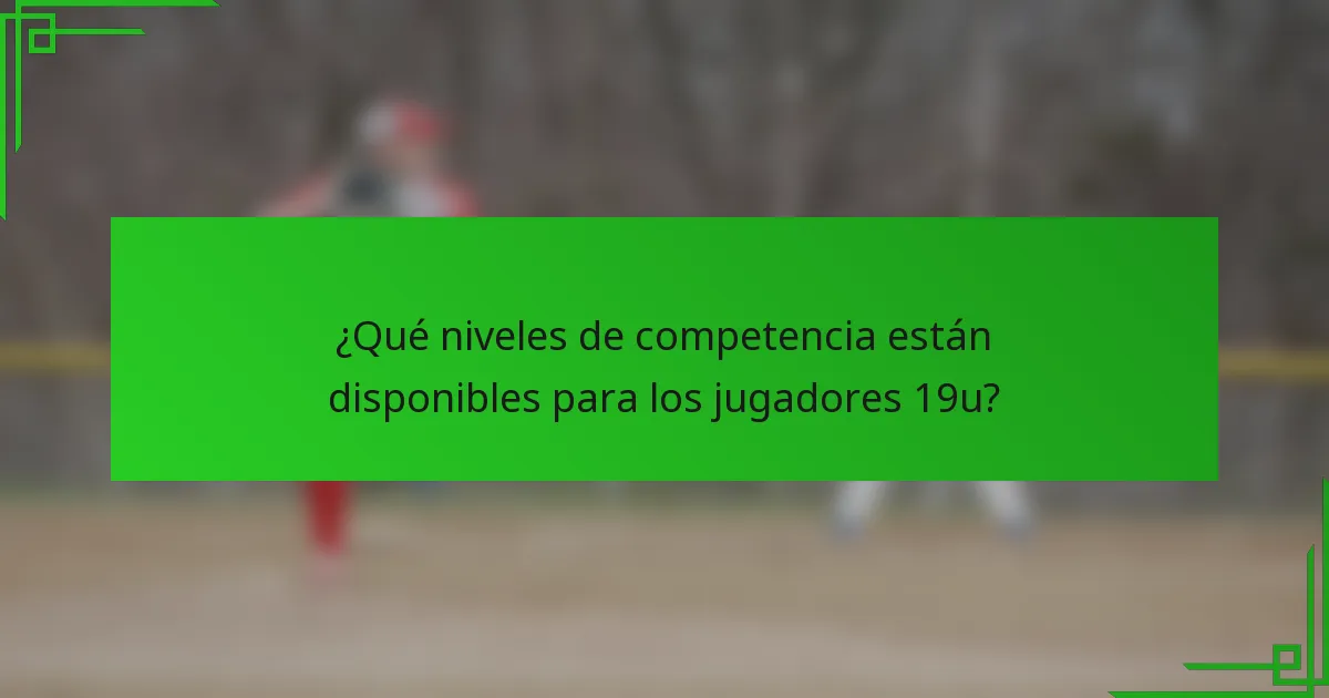 ¿Qué niveles de competencia están disponibles para los jugadores 19u?